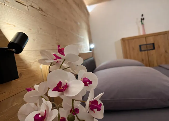 Neubau Alpinstar - Luxus, Bergblick, Loipe, Sauna *