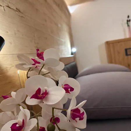Neubau Alpinstar - Luxus, Bergblick, Loipe, Sauna *
